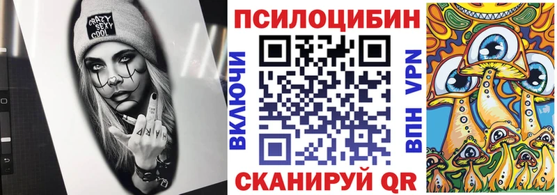 Галлюциногенные грибы Magic Shrooms  Купить где  Гусиноозёрск 